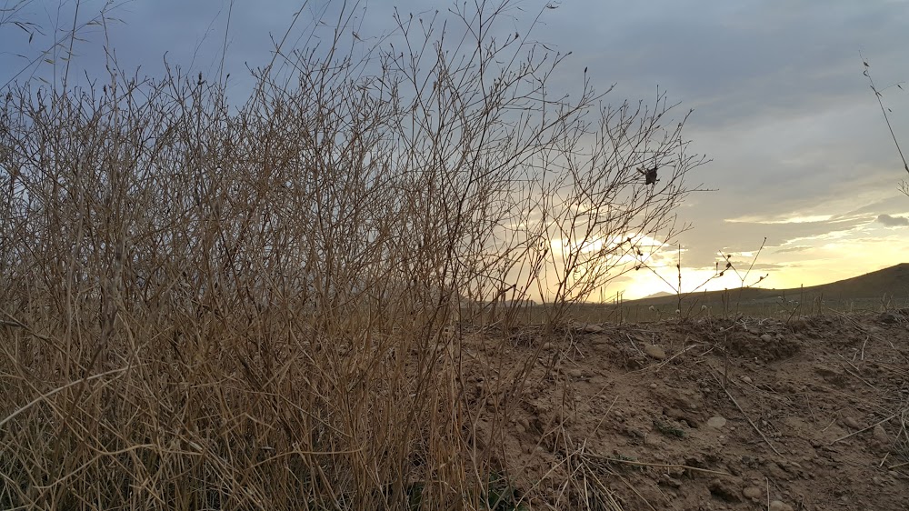 Bayıralan İlkokulu Fotoğrafları 2