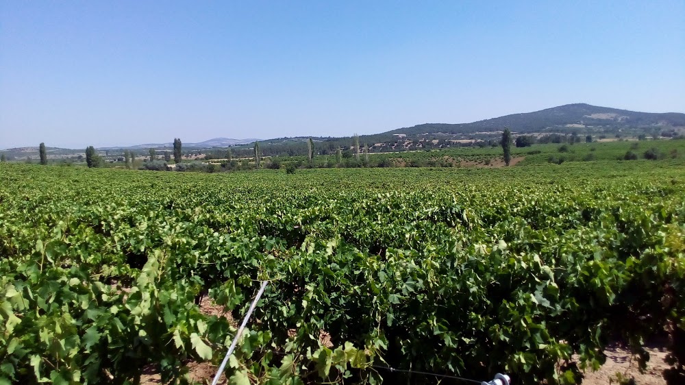 Çal Mesleki Ve Teknik Anadolu Lisesi Fotoğrafları 1