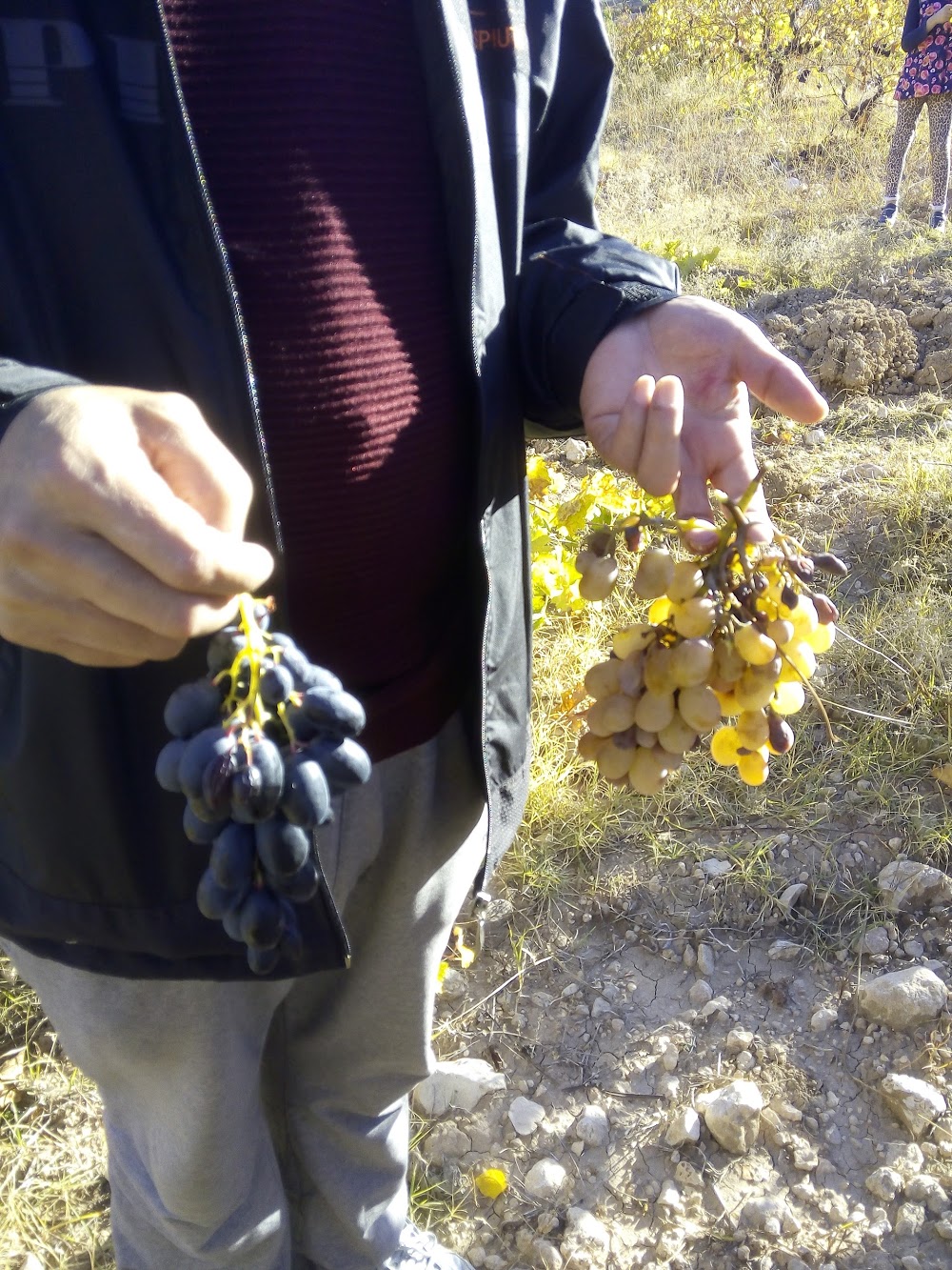 Akdere Hüseyin Ali Bayram Ortaokulu Fotoğrafları 1