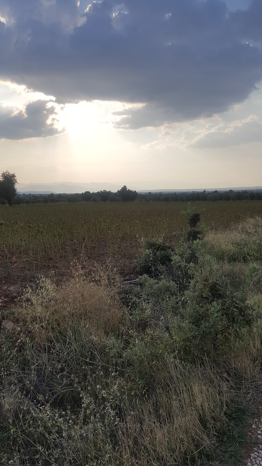 Kale Gölbaşı İlkokulu Fotoğrafları 2