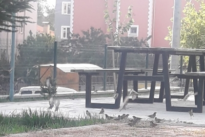 Akalan Fatih İlkokulu fotoğraf 4