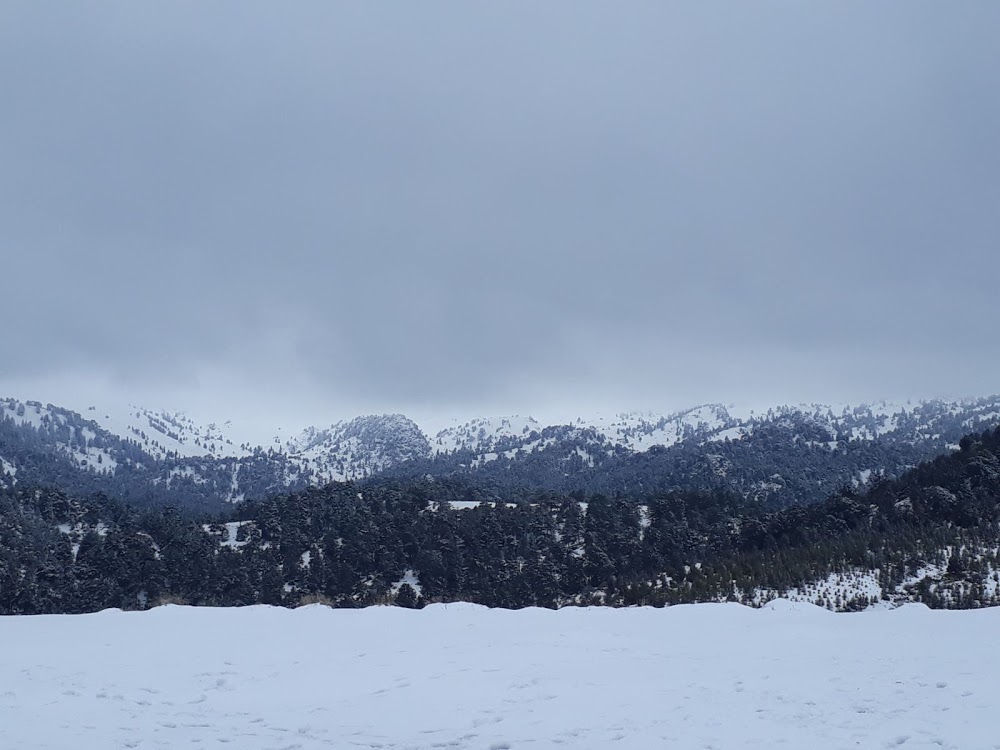 Denizli 15 Temmuz Şehitler Anadolu Lisesi Fotoğrafları 1
