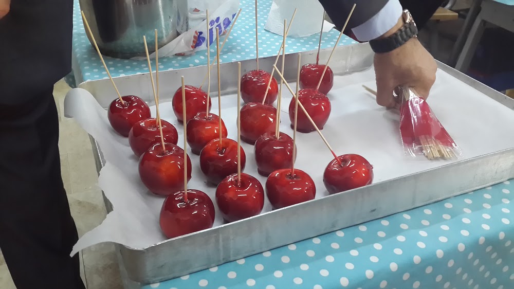 Doğan Demircioğlu Emsan İlkokulu Fotoğrafları 2