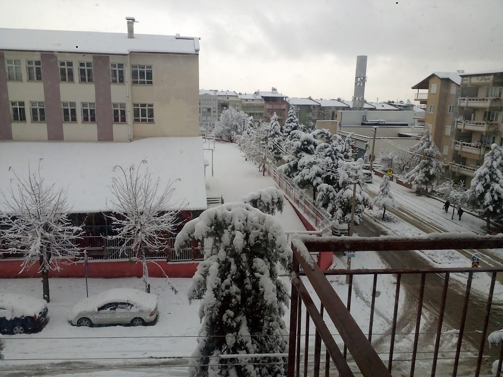 Doğan Demircioğlu Emsan İlkokulu Fotoğrafları 3