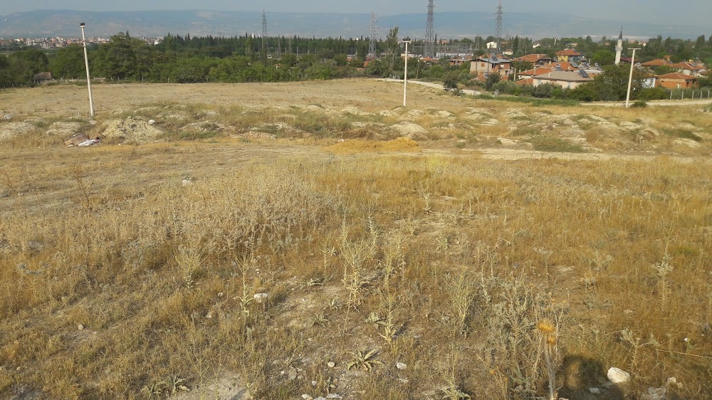Sarayköy Anadolu İmam Hatip Lisesi Fotoğrafları 4
