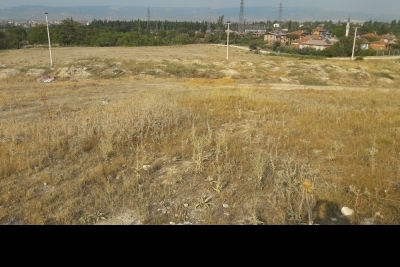 Sarayköy Anadolu İmam Hatip Lisesi fotoğraf 4