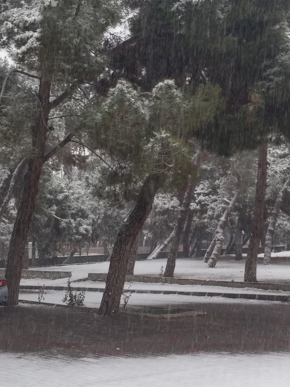 Serinhisar Anadolu Lisesi Fotoğrafları 2