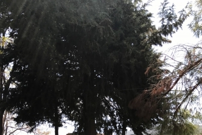 Ulukent Şehit Öğretmen Ayşe Konakçı Ortaokulu fotoğraf 1