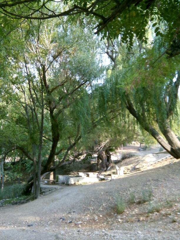 Yahşiler Ortaokulu Fotoğrafları 1