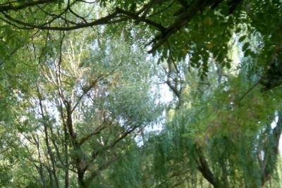 Yahşiler İlkokulu fotoğraf 1