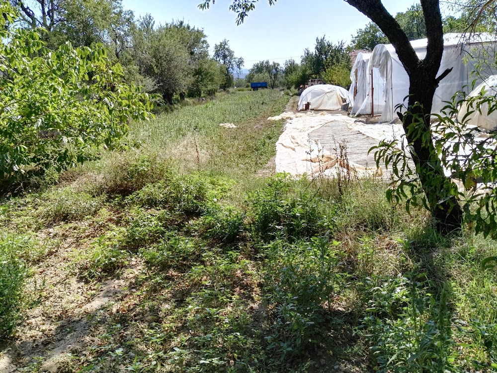 Yorga Hacı Fatma Topalan İlkokulu Fotoğrafları 2