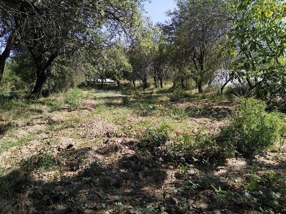 Yorga Hacı Fatma Topalan Ortaokulu Fotoğrafları 1