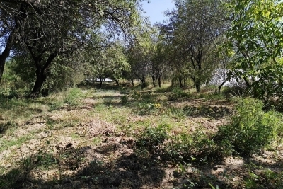 Yorga Hacı Fatma Topalan Ortaokulu fotoğraf 1