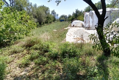 Yorga Hacı Fatma Topalan Ortaokulu fotoğraf 2