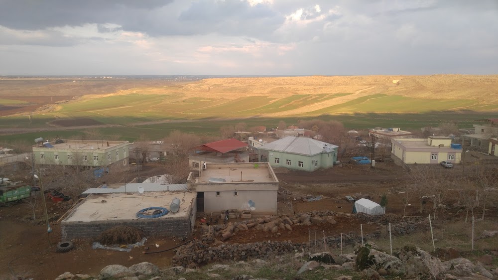 Sarıdallı Henkel İlkokulu Fotoğrafları 1