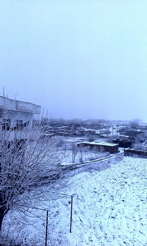 Selahaddin-i Eyyubi İlkokulu Fotoğrafları 2