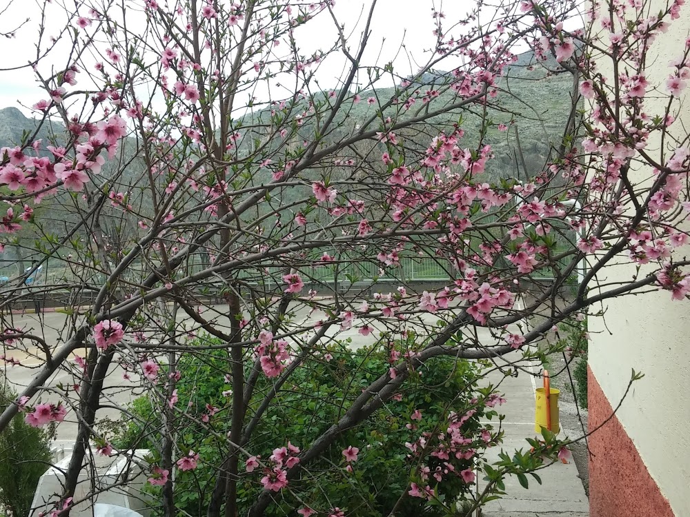 Çermik Saray İlkokulu Fotoğrafları 1