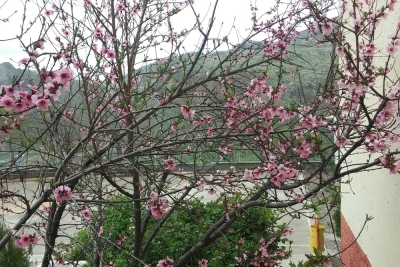 Çermik Saray İlkokulu fotoğraf 1
