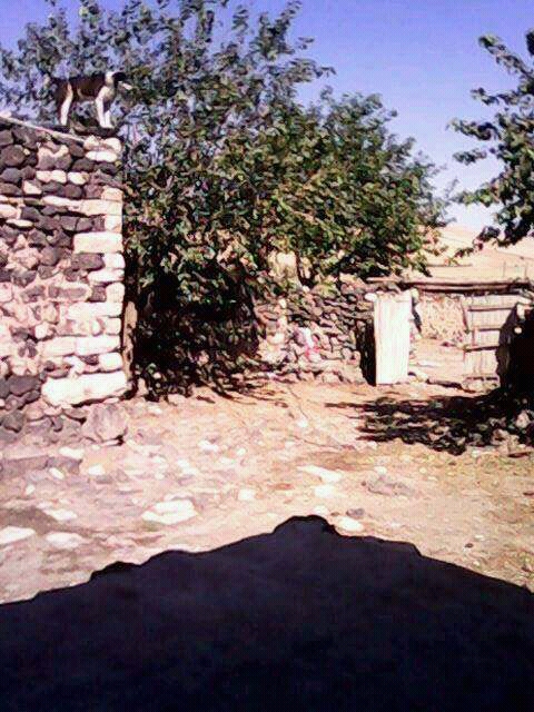 Ballıbaba İlkokulu Fotoğrafları 5