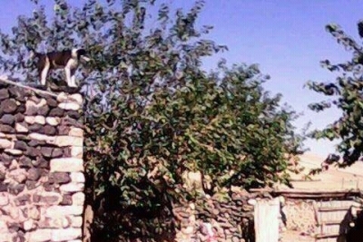 Ballıbaba İlkokulu fotoğraf 5