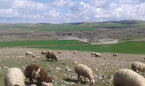 Ballıbaba İlkokulu Fotoğrafları 4