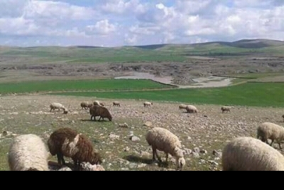 Ballıbaba İlkokulu fotoğraf 4