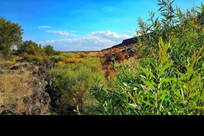 Taşhelvası İlkokulu fotoğraf 3