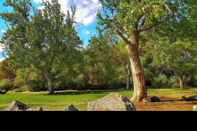 Taşhelvası İlkokulu fotoğraf 2