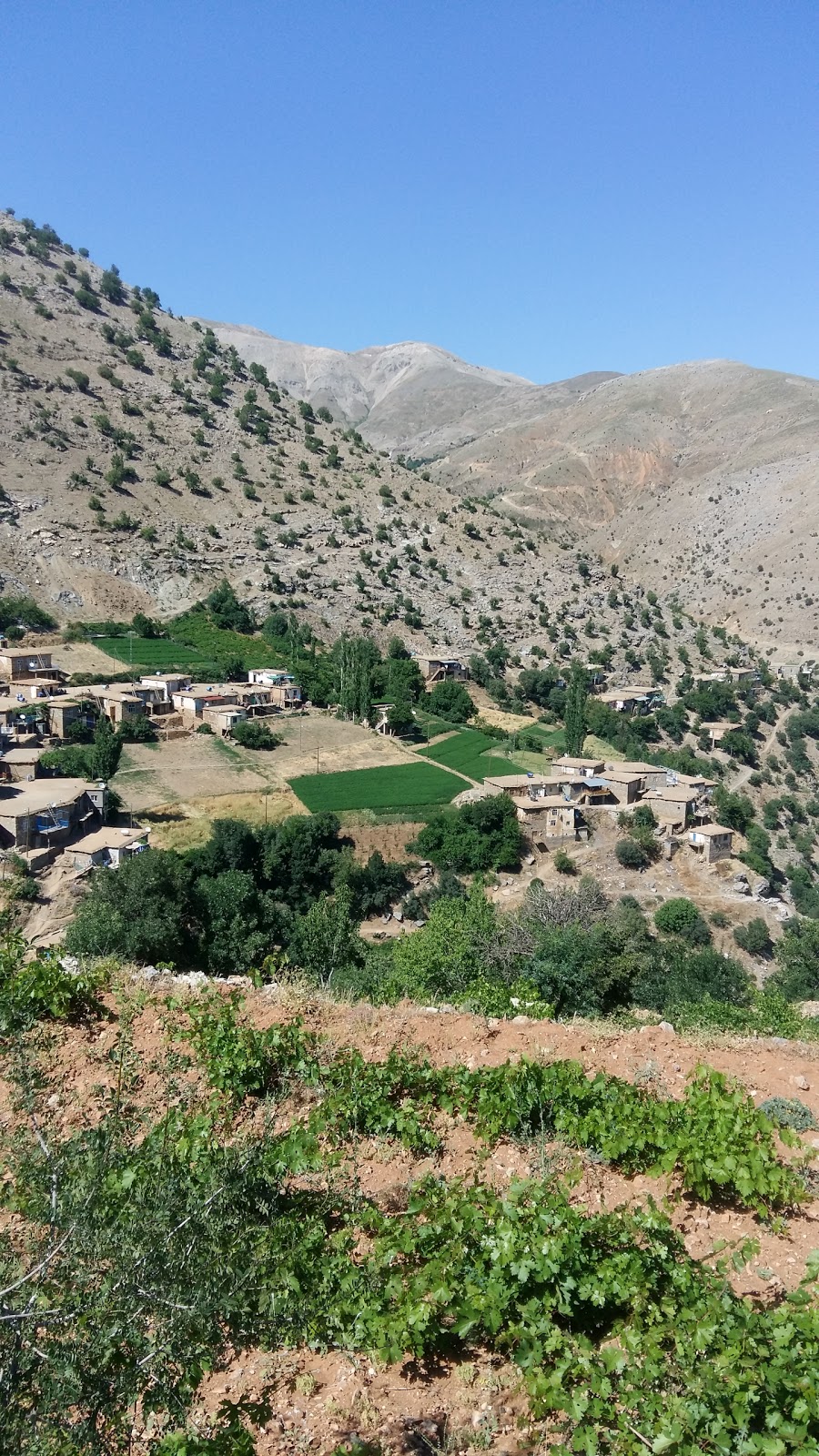 Sağtepe İlkokulu Fotoğrafları 1