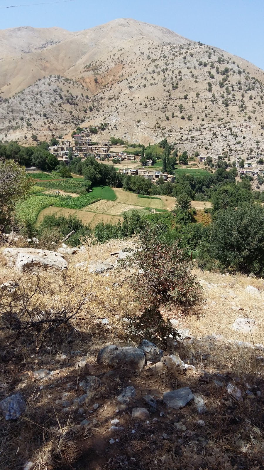 Sağtepe İlkokulu Fotoğrafları 4