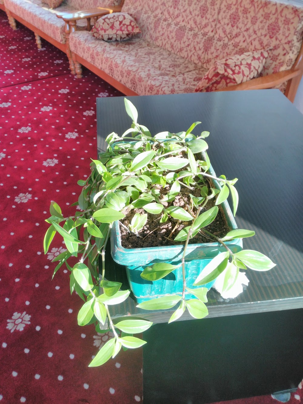 Dede Ortaokulu Fotoğrafları 8