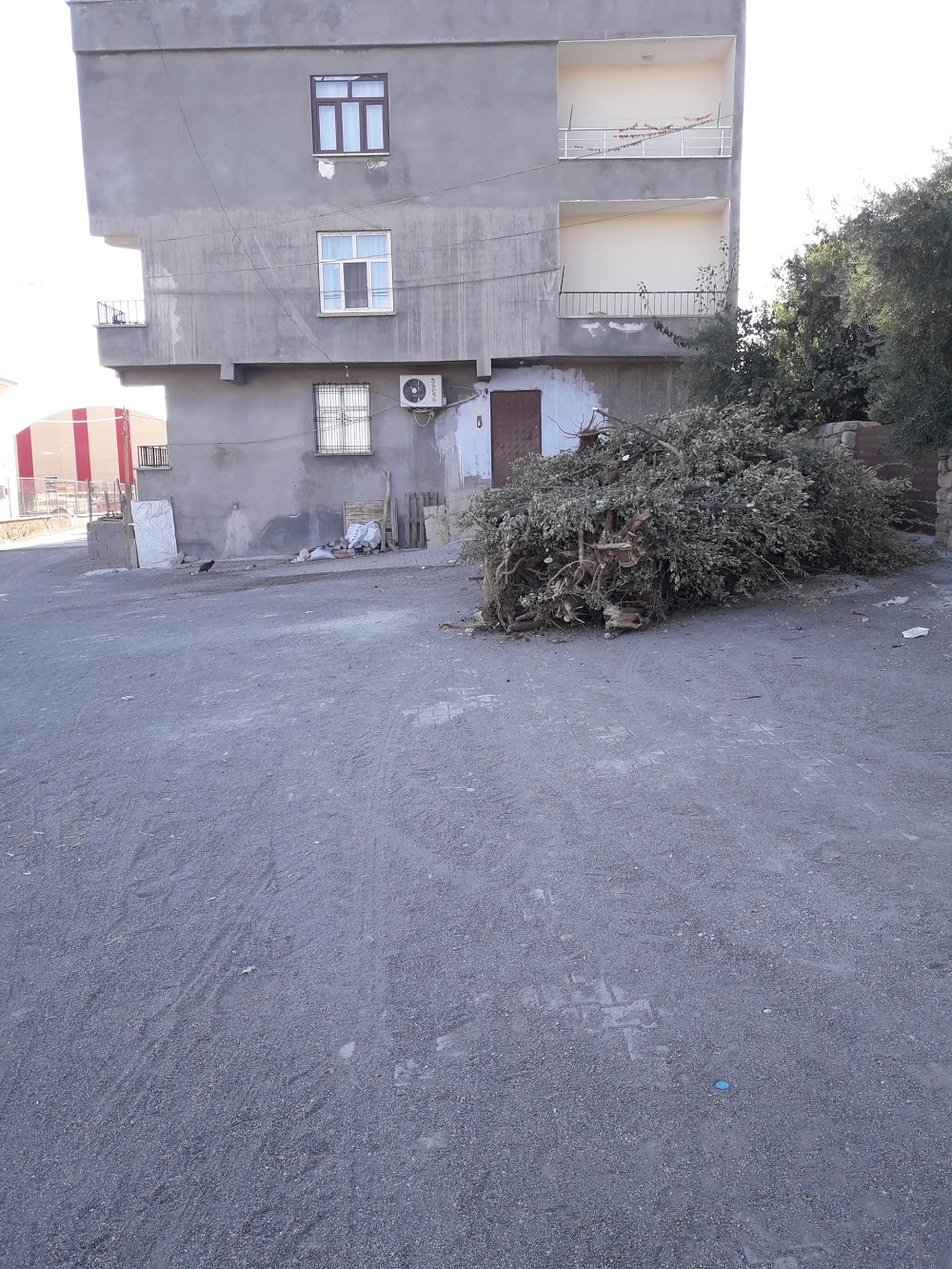 Dicle Dicle Ortaokulu Fotoğrafları 1