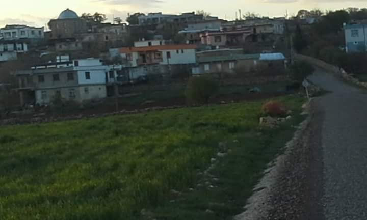 Dicle Üzümlü İlkokulu Fotoğrafları 4