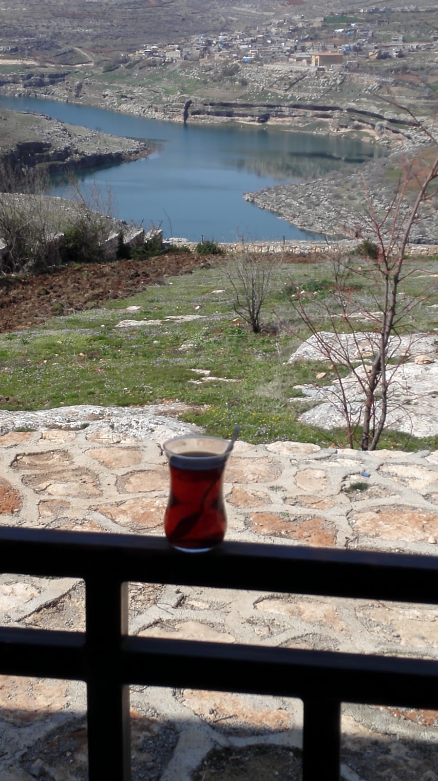 Dicle Üzümlü İlkokulu Fotoğrafları 1