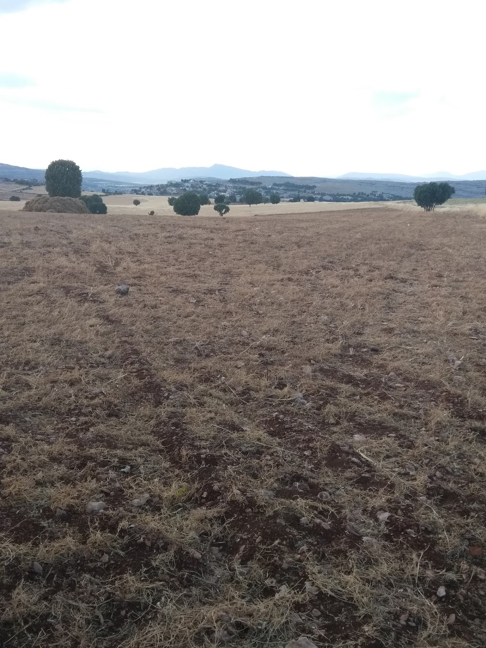 Dicle Üzümlü Ortaokulu Fotoğrafları 4