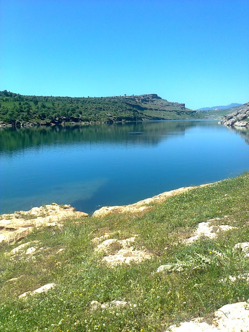 Dicle Üzümlü Ortaokulu Fotoğrafları 1