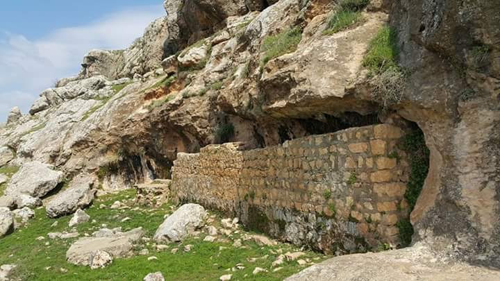 Dicle Üzümlü İlkokulu Fotoğrafları 5