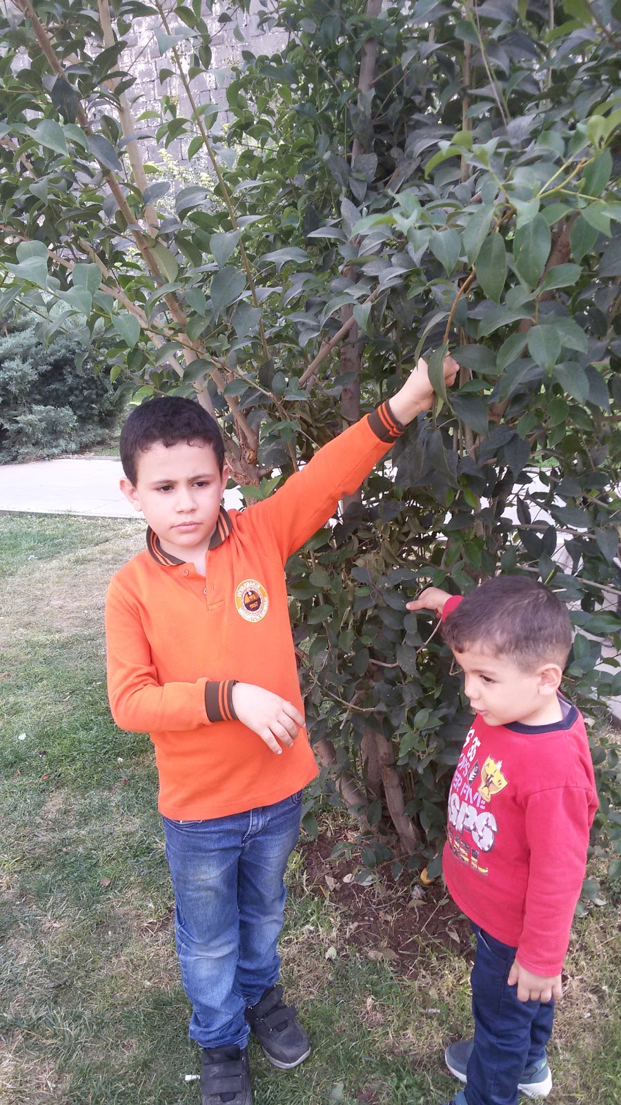 Çermik Ziya Gökalp İlkokulu Fotoğrafları 1