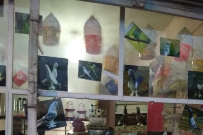 Ergani Anadolu Lisesi fotoğraf 3