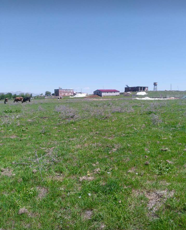 Selman Soğuktepe İlkokulu Fotoğrafları 1