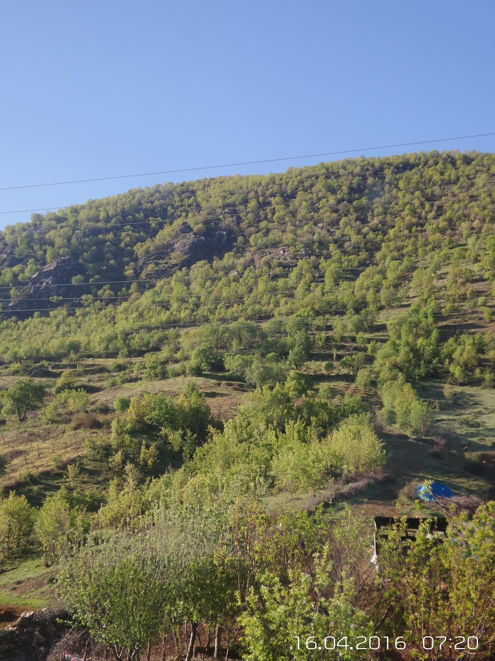 Yukarı Turalı Köyü Çay Mezrası İlkokulu Fotoğrafları 1