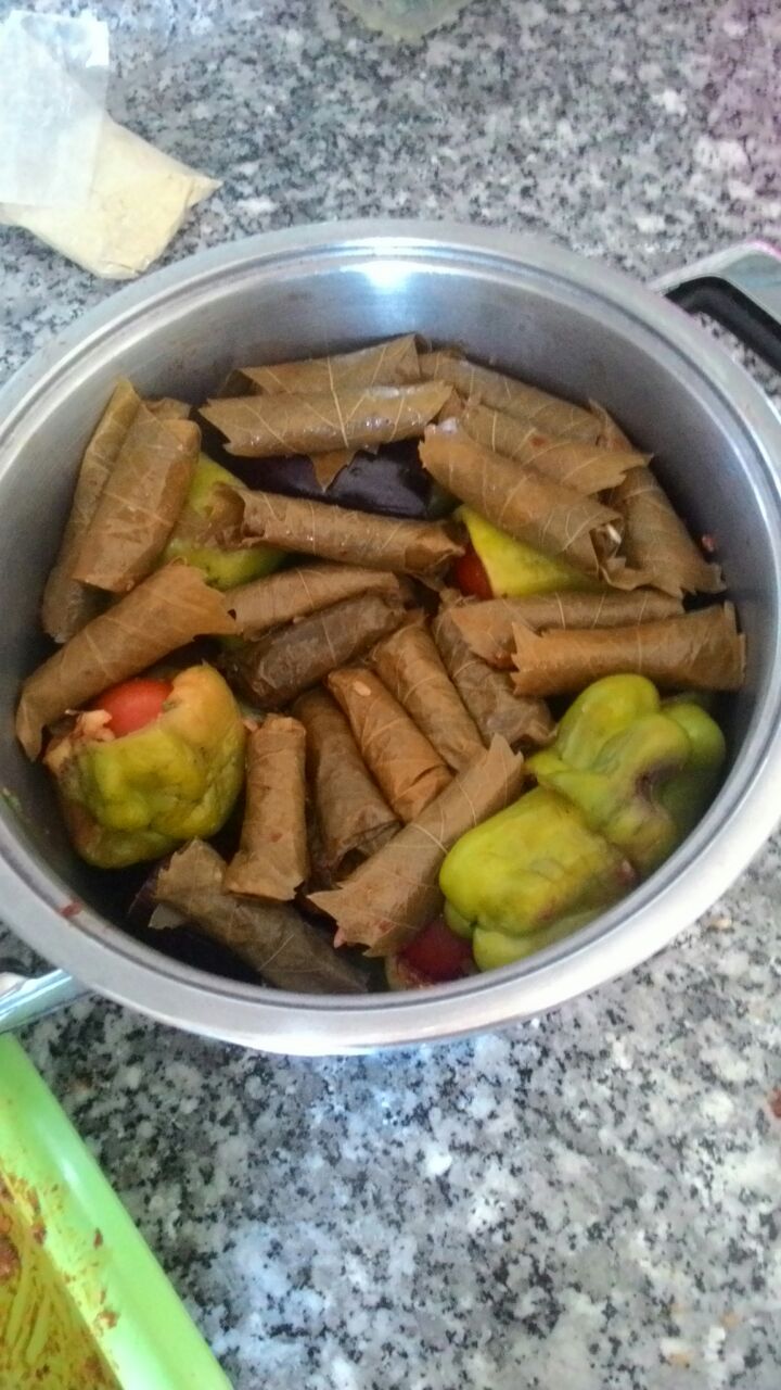 İmkb Kayapınar Kız Anadolu İmam Hatip Lisesi Fotoğrafları 2