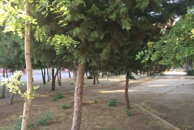 Şehit Öğretmen Ayşe Numan Konakçı İlkokulu fotoğraf 3
