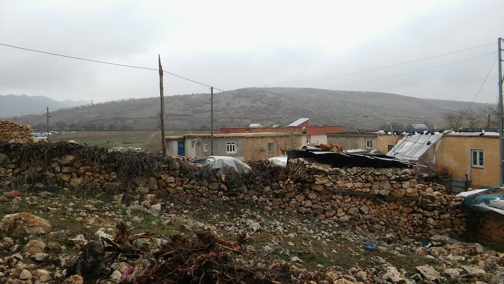 Gökçen İlkokulu Fotoğrafları 4