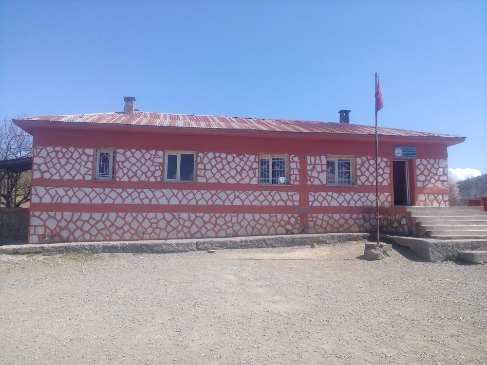 Kulp Özbek İlkokulu Fotoğrafları 1