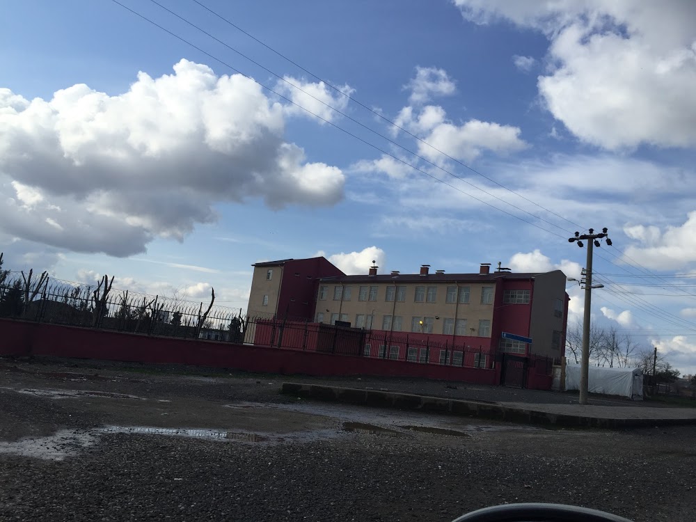 Kulp Ağaçlı İlkokulu Fotoğrafları 3