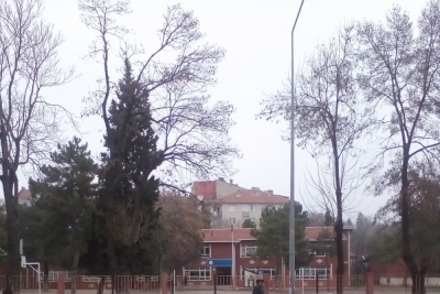 Edirne Şükrüpaşa İlkokulu fotoğraf 1