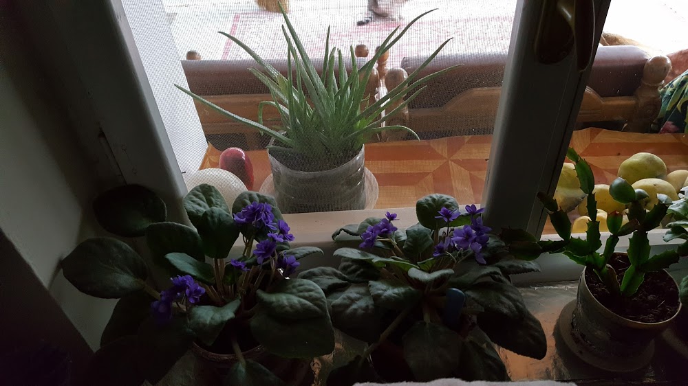 Uzunköprü Kavacık İlkokulu Fotoğrafları 2