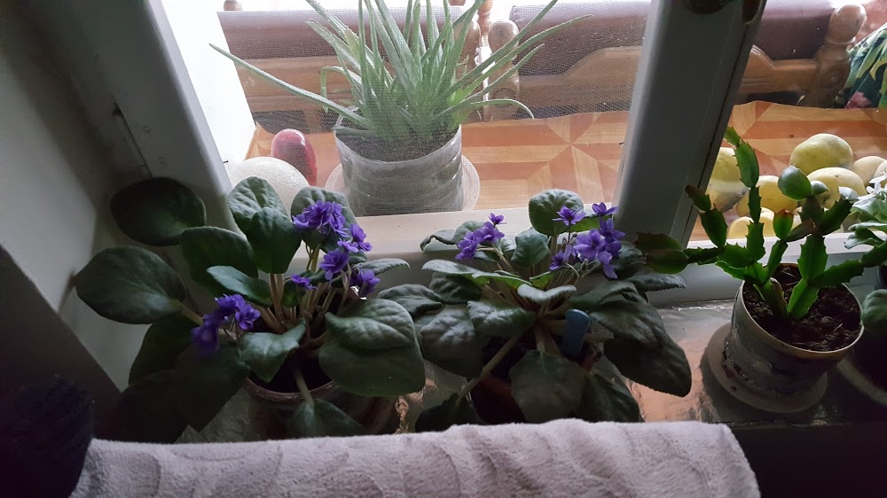 Uzunköprü Kavacık İlkokulu Fotoğrafları 1