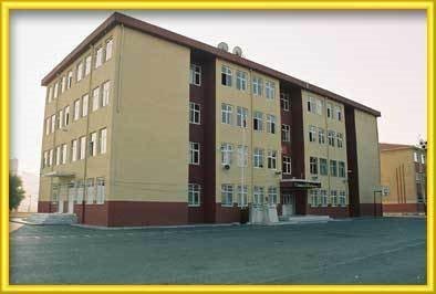 Emiralem Şehit Barış Demir İlkokulu kampüs fotoğrafı